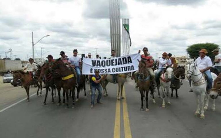 Vaqueiros realizam de todo o País ato em Brasília para cobrar a aprovação da PEC 304