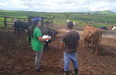 Criadores terão apoio do município para escrituração de rebanhos em Arapiraca