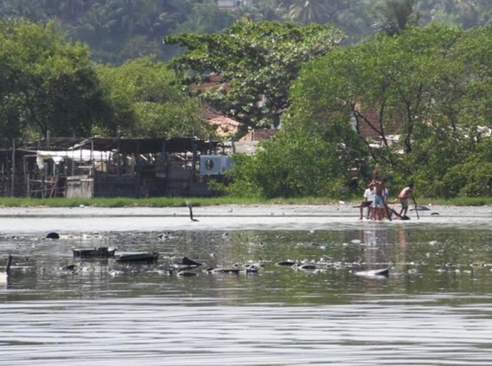 IMA apoia estudo sobre impactos ambientais na APA de Santa Rita