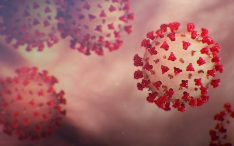 Máscara, álcool, distância: servidores devem manter cuidados