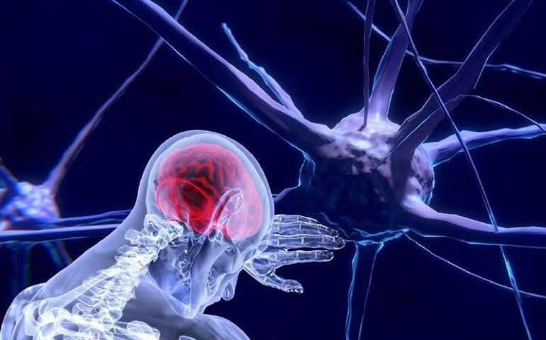 Estudo brasileiro destaca papel da inflamação cerebral na progressão do Alzheimer