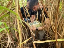 WhatsApp Image 2025 11 27 at 10.13.44 225x300