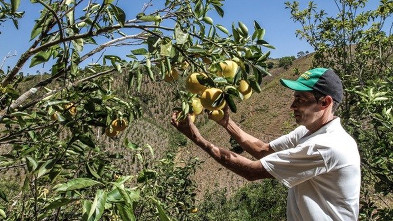 Intercâmbio gera conhecimento para Arranjos Produtivos Locais