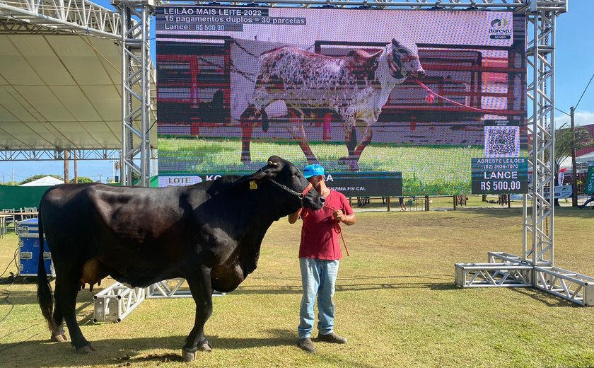 Empório Sebrae reúne marcas alagoanas durante a 73ª Expoagro