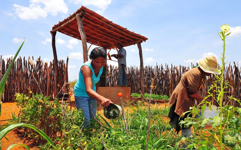 Alagoas foi o Estado do Nordeste menos afetado pela crise econômica, apontam IBGE e Seplag
