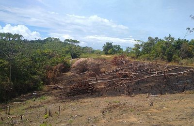 Ações do BPA coíbem crimes ambientais na Região Metropolitana de Maceió