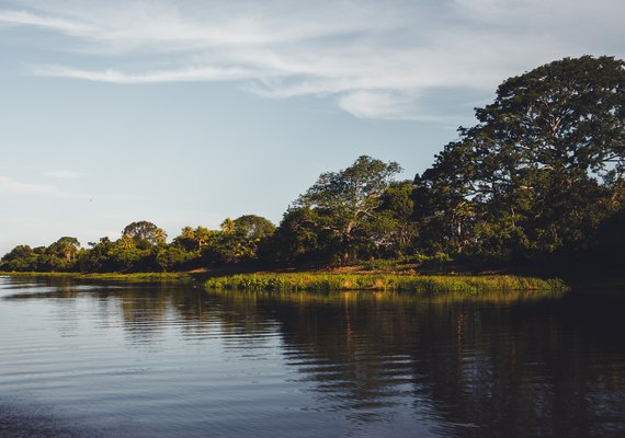 Refilmagem de novela Pantanal aquece turismo na região mato-grossense