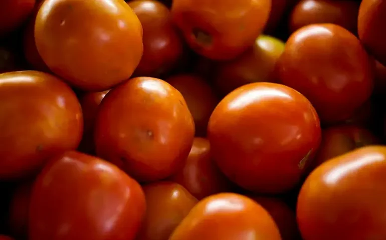 Tomate é item de maior pressão no IPCA de março, aponta IBGE