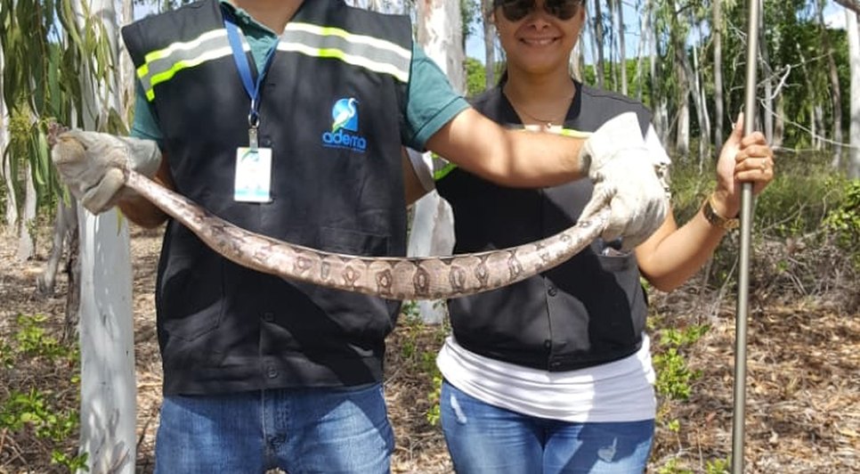 Resgate animais foto ASN