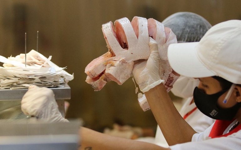 EUA diminuem burocracia para comprar pescados brasileiros