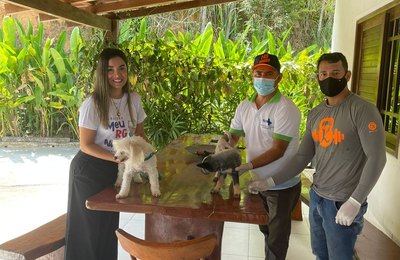 Vacinação Antirrábica inicia casa a casa em Santana do Mundaú  