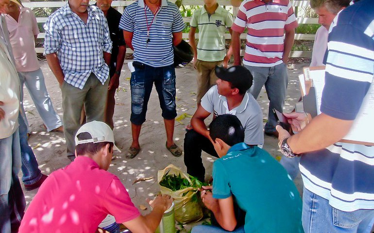 Pequenos agricultores de Limoeiro aprendem novas  técnicas para produção de alimentos mais saudáveis