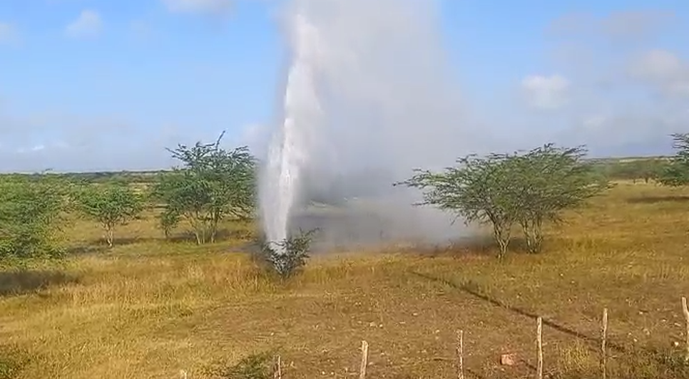 Adutora