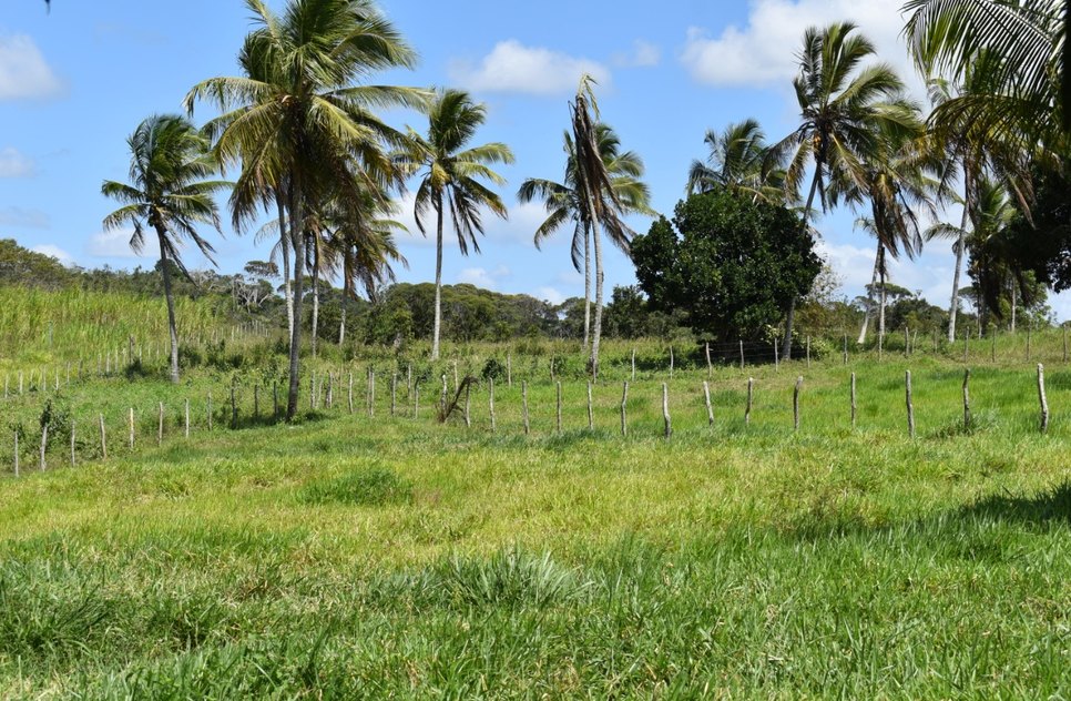 CAMPO