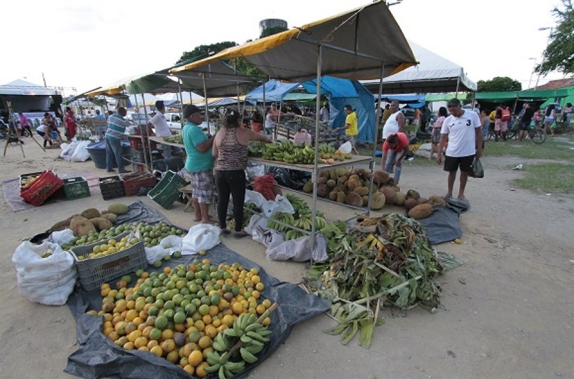 Iteral promove Feira Agrária do Crédito Fundiário em Pão de Açúcar