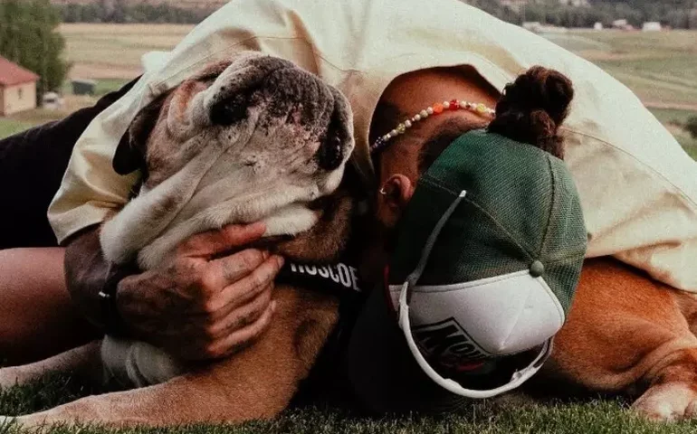 Hamilton anuncia morte de Roscoe, seu 'inseparável cão'