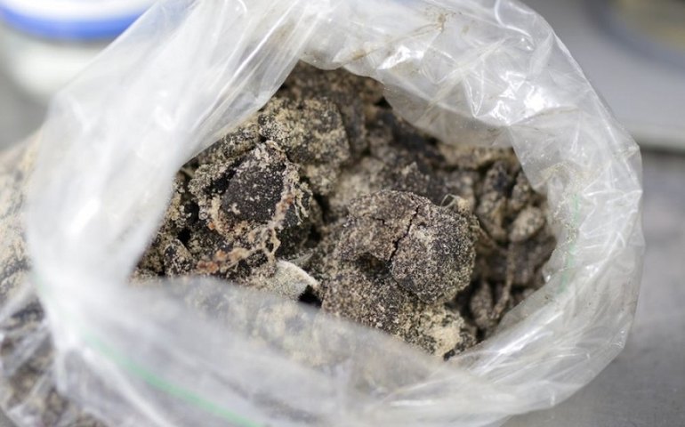 Governo garante continuidade do monitoramento de óleo nas praias