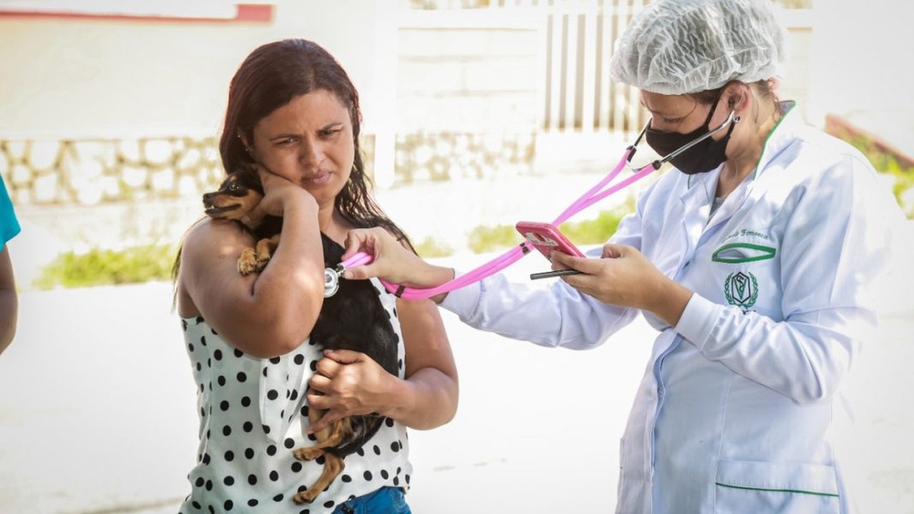Programa Castra Pet abre cadastro para mais uma edição em Penedo
