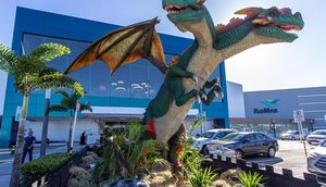 dragao