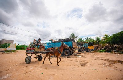 Prefeitura de Arapiraca convoca carroceiros para realizar cadastro obrigatório a partir desta terça (25)