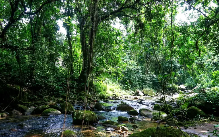 Acordo viabiliza unidade de conservação em Guapimirim, no Rio