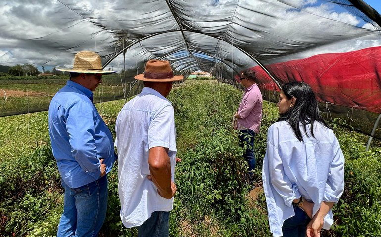 Secretaria de Agricultura vai implantar vitrine tecnológica no Sertão