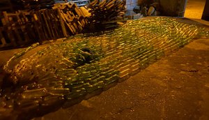 Paróquia realiza programação natalina com árvore de oito metros e quermesse em Nossa Senhora do Socorro
