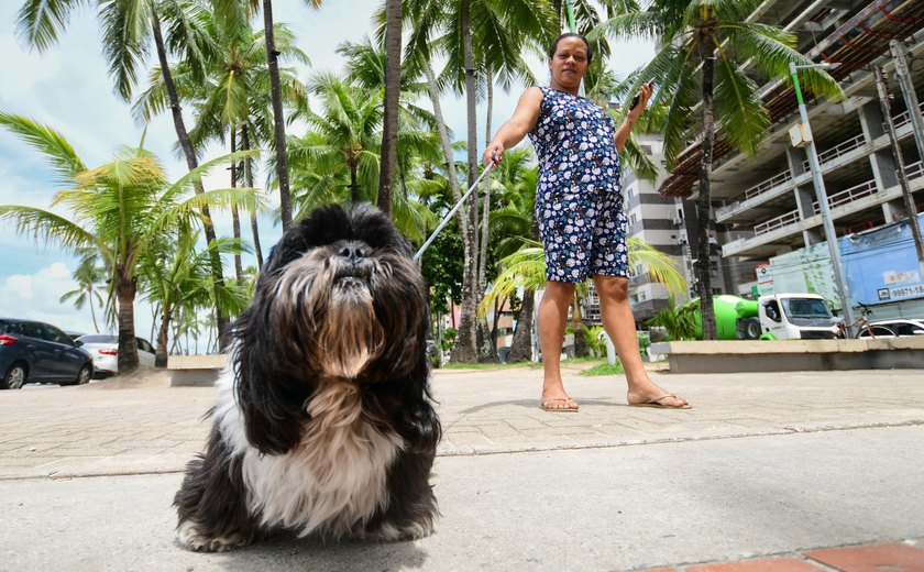 Sesau alerta sobre a importância da vigilância e controle de doenças transmitidas entre animais e seres humanos