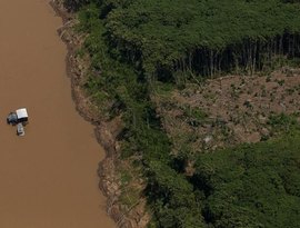 Desmatamento na Amazônia registra maior recuo da década