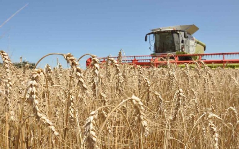 Comitê de crise da Agricultura irá propor ações para reduzir impactos da pandemia