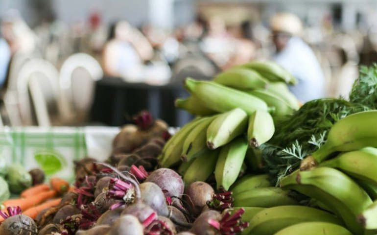 Governo Federal reajusta em até 39% o valor destinado à merenda escolar