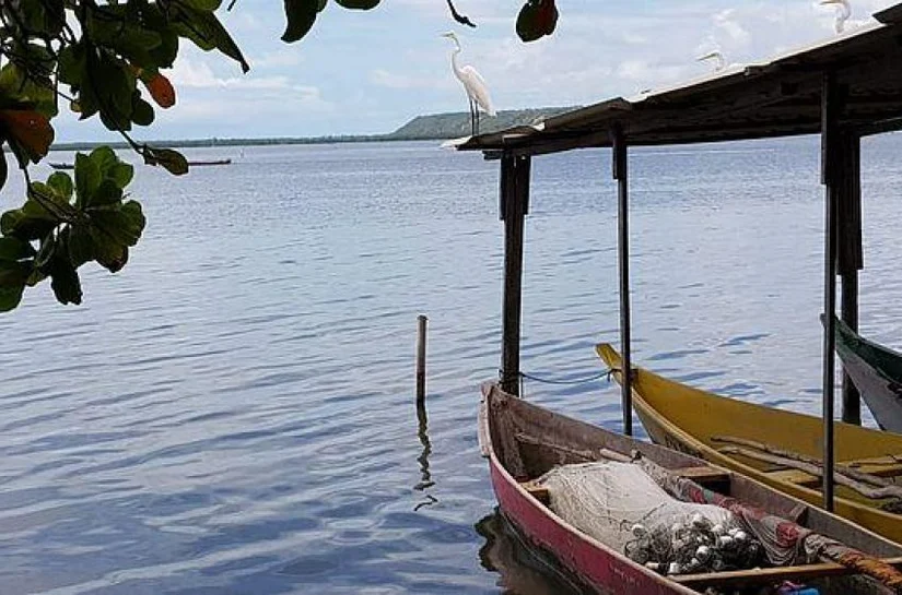 Projeto Aflora Mangue conclui plantio na área do Flexal às margens da Lagoa Mundaú