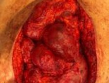 WhatsApp Image 2025 05 04 at 08.51.52 1 154x300