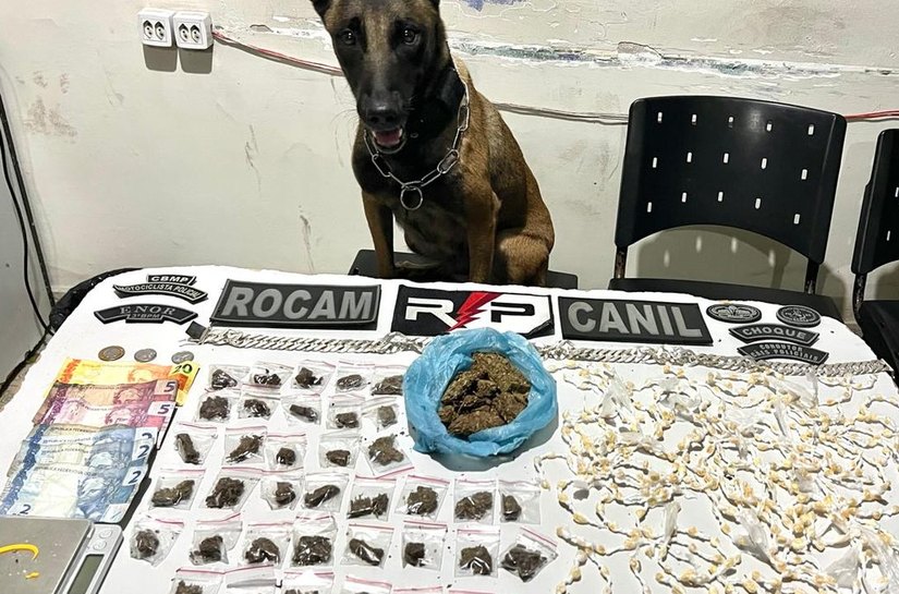 Cão farejador encontra drogas em residência e trio é preso por tráfico em Arapiraca