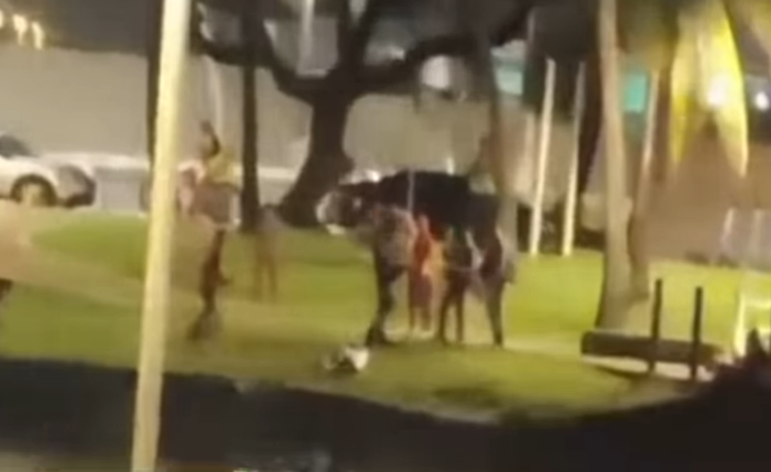 Corpo é encontrado na Lagoa da Anta, em Maceió