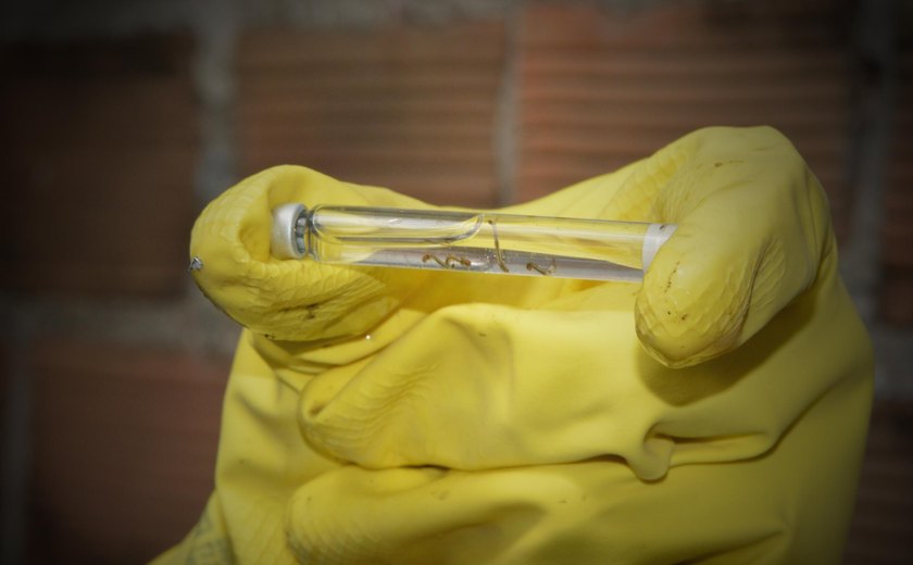 Sesau promove curso de atualização em manejo clínico de arboviroses na II Macrorregião de Saúde