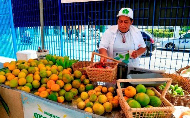 Fruticultores do Vale do Mundaú participam de seminário de capacitação