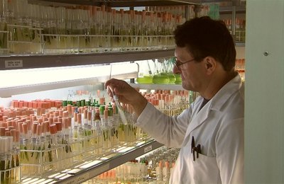 Governo de Alagoas apoia 12 revistas científicas