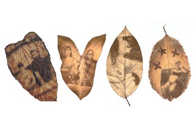 Coletivo Alagoano participa de antologia fotográfica sobre mulheres e maternidades plurais
