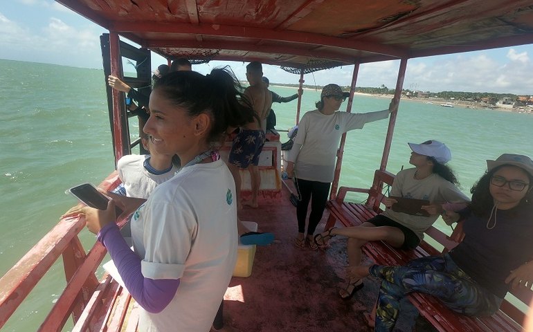 Branqueamento dos corais do Nordeste está mais intenso e pesquisadores alertam para morte iminente das espécies