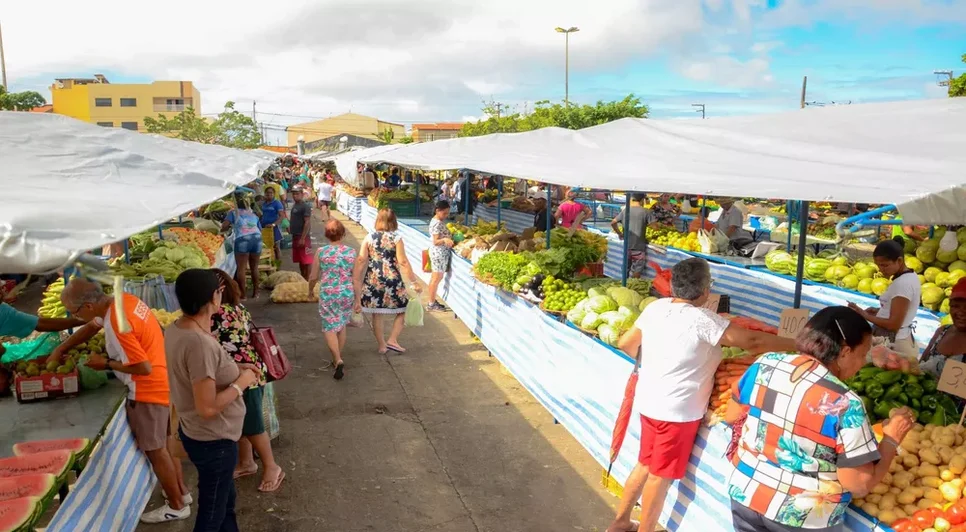 feira-do-augusto-franco-reorganizada-felipe-goettenauer-4-