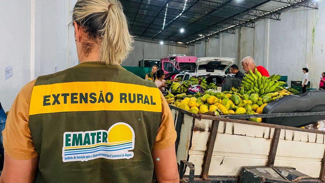 Emater e Fapeal abrem inscrições para bolsas de extensão em diversas áreas
