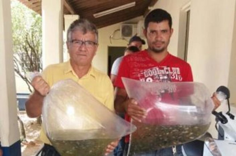 Prefeitura e Estado entregam 20 mil alevinos em Santana do Ipanema