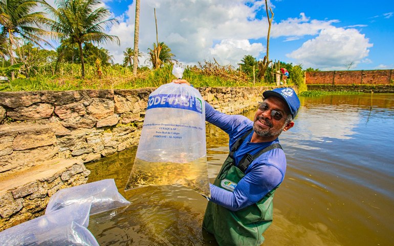 Prefeitura inicia entrega de mais de 180 mil alevinos para produtores rurais