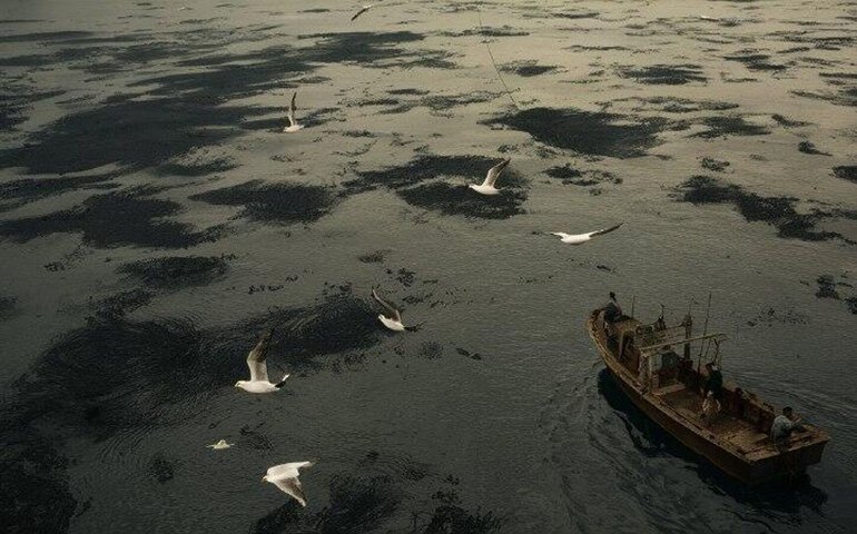 Mídia pode silenciar crise no Golfo para evitar pânico econômico, diz ecologista