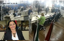 Troca de farpas na Câmara de Palmeira