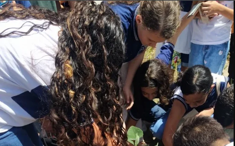 Projeto da Ufal vai escolher árvore-símbolo do Campus do Sertão