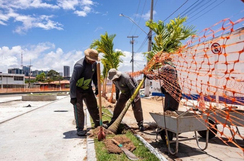 Arborização avança e marca reta final do Renasce Salgadinho, maior obra ambiental de Maceió