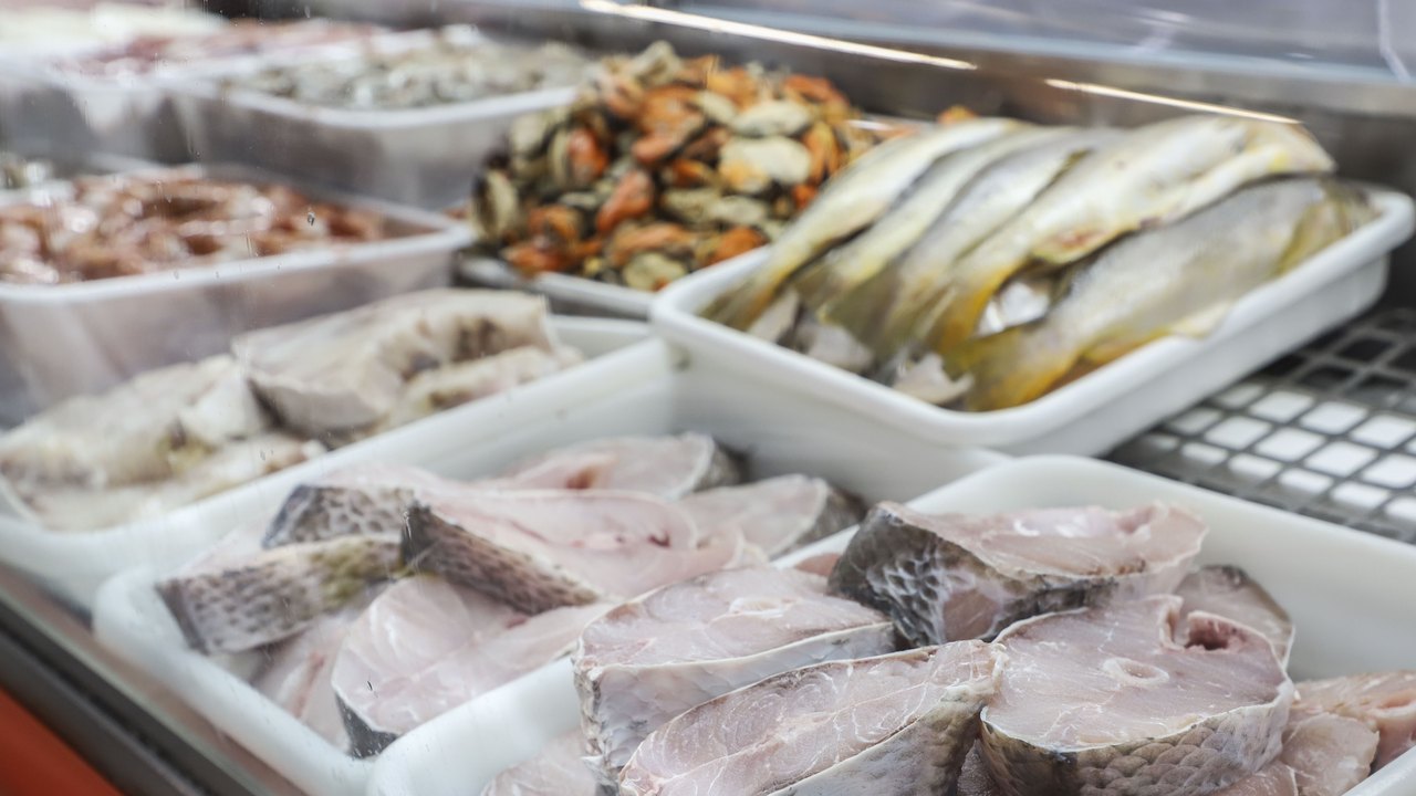 Setor de pescados fica de fora das isenções tarifárias dos EUA e manifesta frustração
