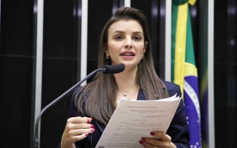 Comissão debate criação do Dia Nacional do Alho Brasileiro